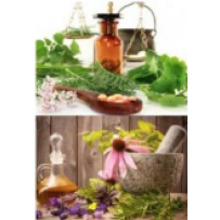 Email Seminar Package Medical Herb Course & Medical Herb Blender